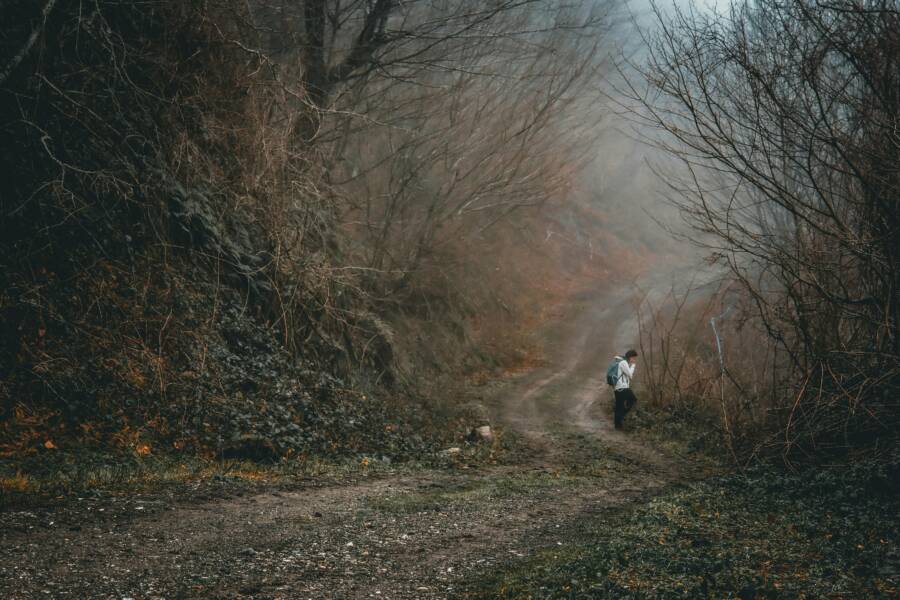 A lone hiker walks through a misty forest path