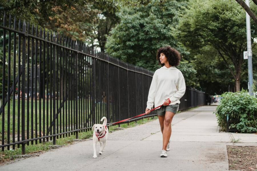 A safe and calm city stroll along a well lit path