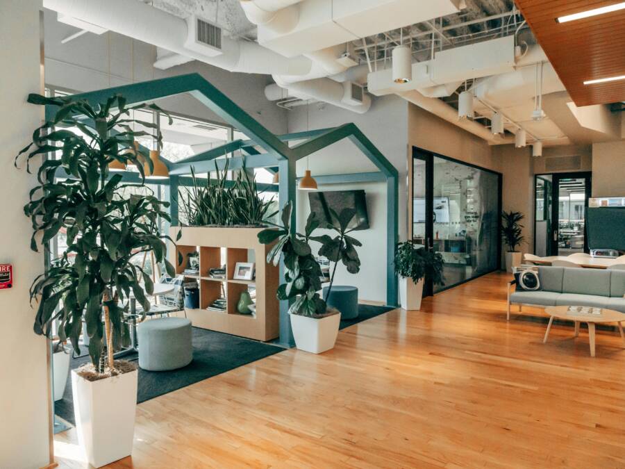 Stylish open office interior featuring natural light, modern design, and vibrant greenery for a refreshing atmosphere