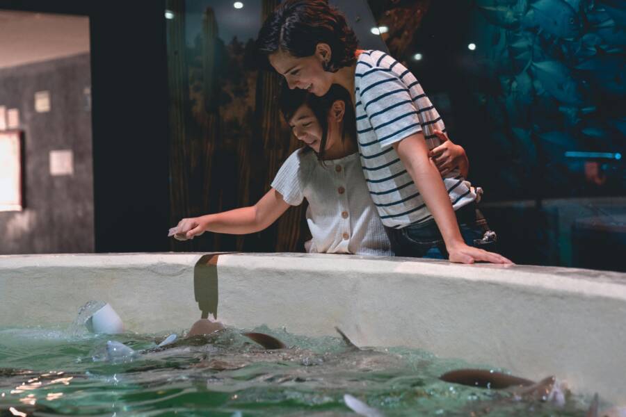 母女在水族箱互動區的親子時光