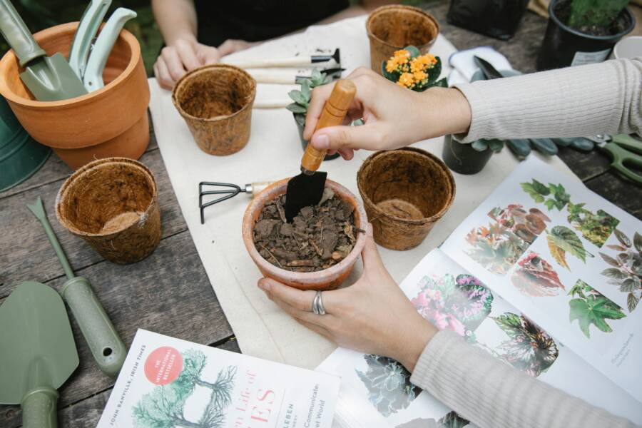 Potting Soil Types at Home Depot and When to Use Each