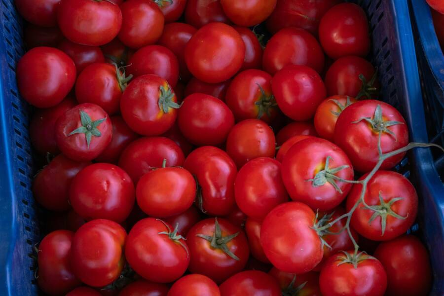 Seasonal Guide: Summer Shopping List at Home Depot