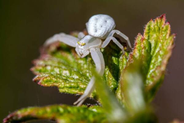 @戶外，令人毛骨清晰，休息的免費圖庫
