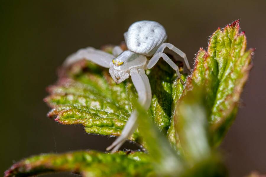 @戶外，令人毛骨清晰，休息的免費圖庫