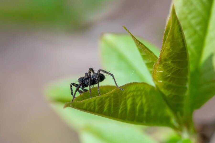 Fix a Phone That Logs Out of Captive Portals on Public WiFi (Android & iPhone)