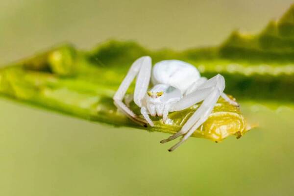 @戶外、Web、中性的免費圖庫