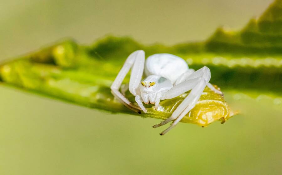 @戶外、Web、中性的免費圖庫