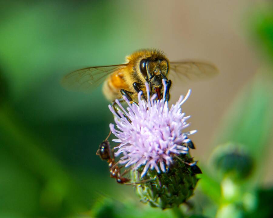 Fix YouTube Playback Errors on Your Phone (Android & iPhone)