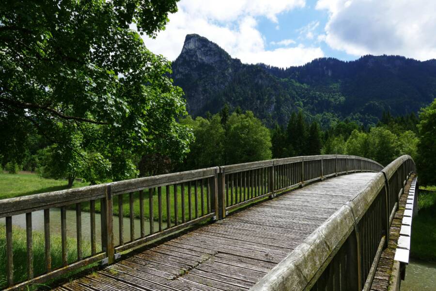Travel and Ping Pong: Following the Path of Reisman