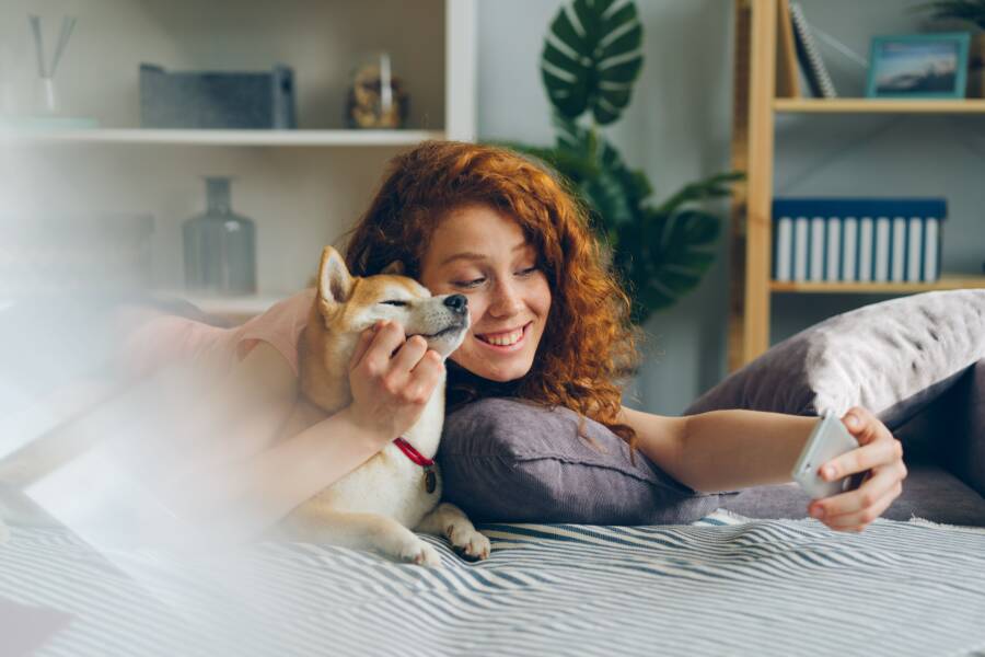 How to Create a Simple Pet Care Tracker on Your Smartphone