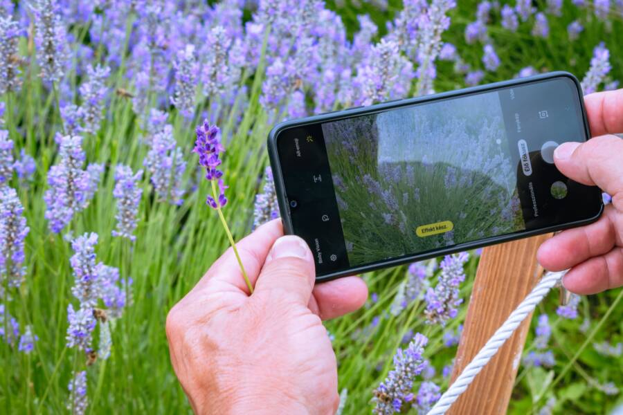 How to Fix a Smartphone Camera Not Saving Photos Correctly