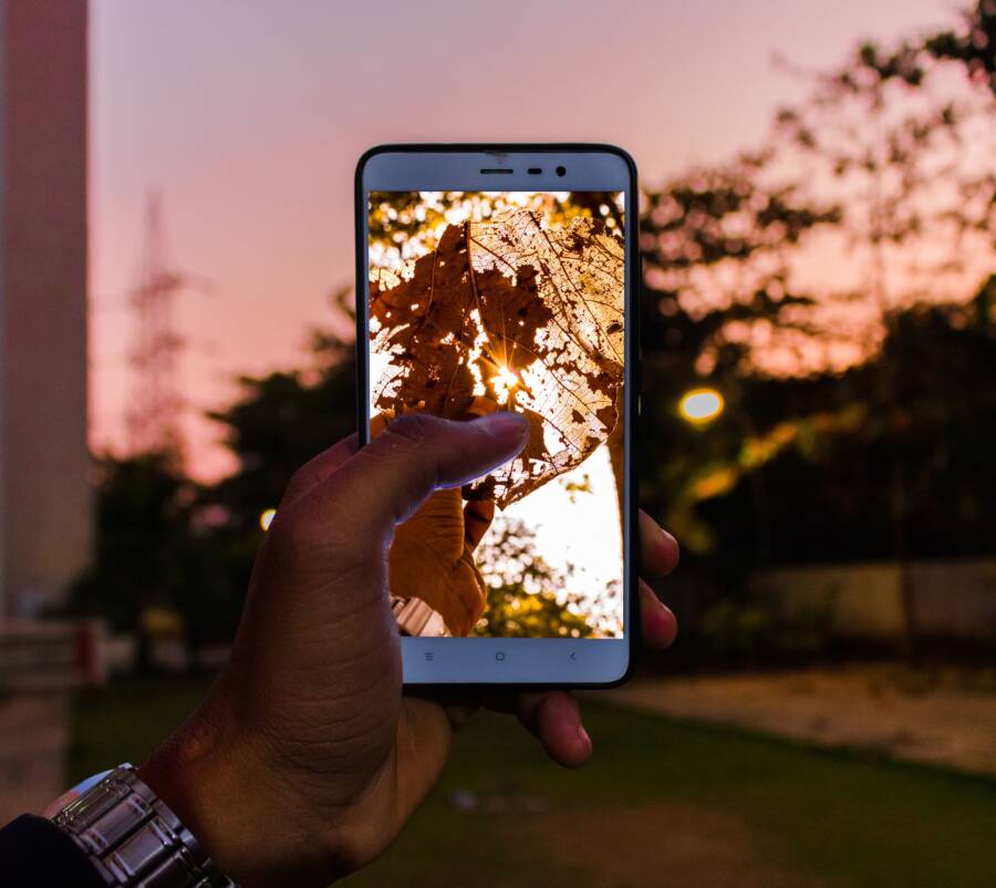 How to Fix a Blurry Phone Wallpaper After Cropping