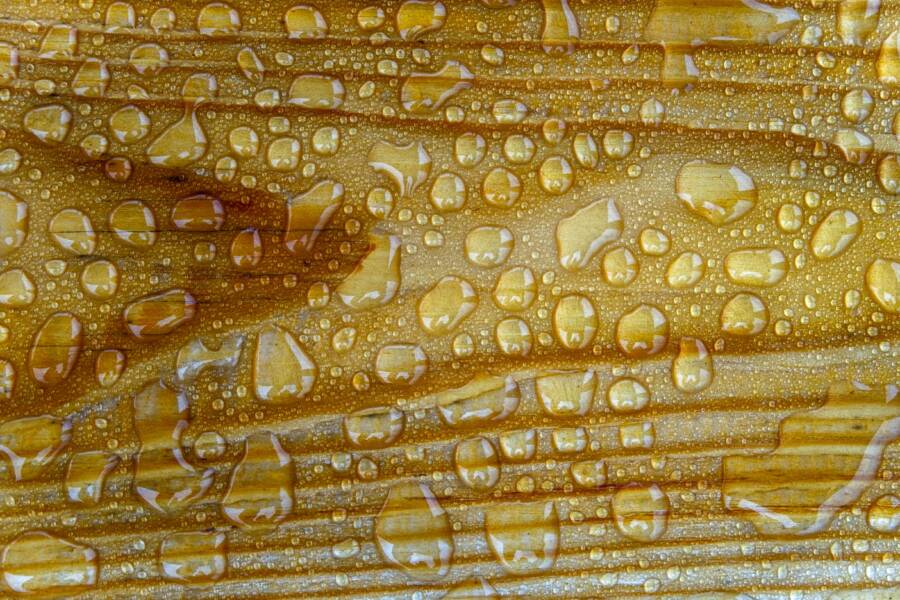 How to Fix a Phone Moisture Detection Warning