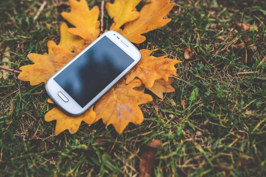 How to Fix a Phone Moisture Detection Warning