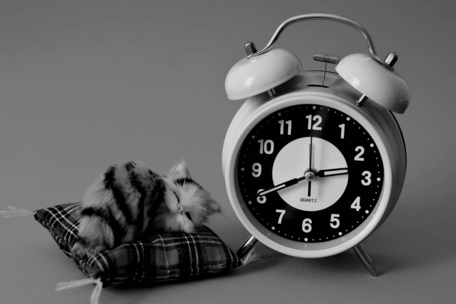 How to Fix a Smartphone Alarm That Silences Itself