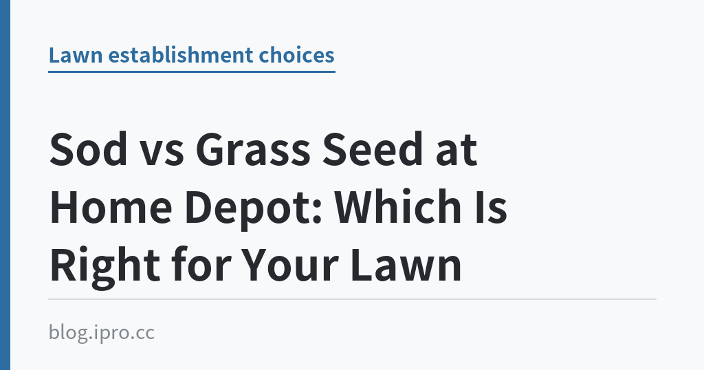 Sod vs Grass Seed at Home Depot: Which Is Right for Your Lawn｜iPro+ 知識酷（blog.ipro.cc）