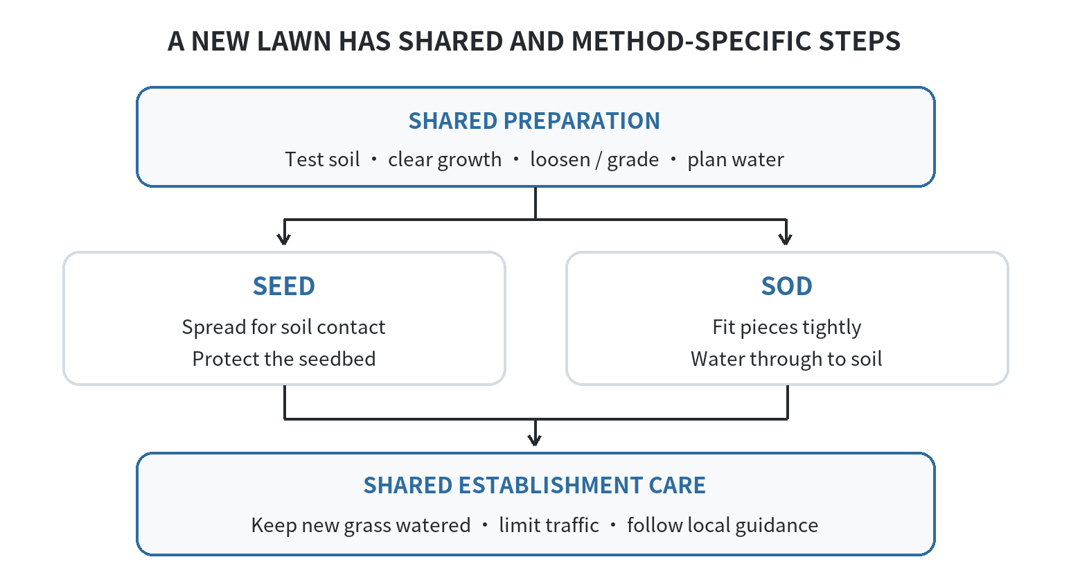 Shared lawn preparation followed by separate seed and sod installation steps, then watering and establishment