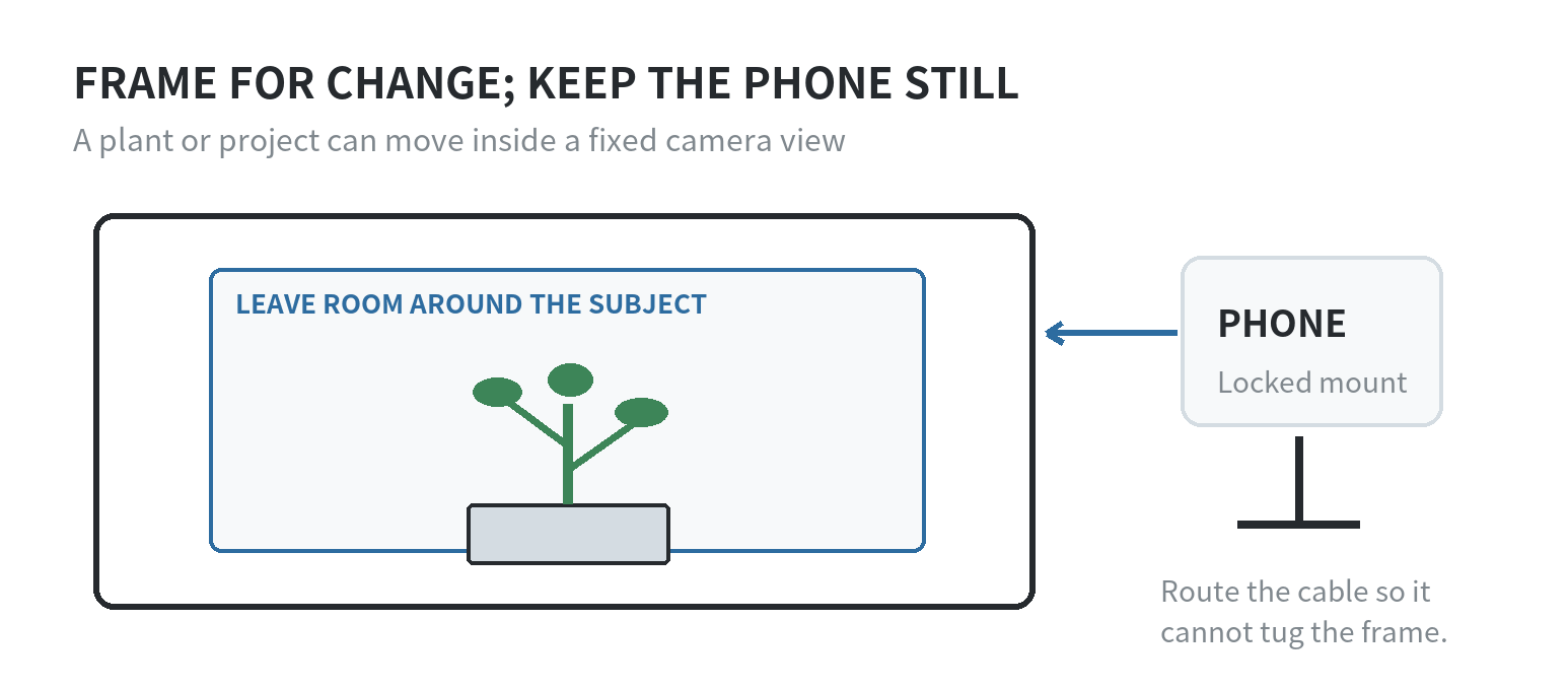 A fixed phone camera frame with the subject centered and space left around a growing plant or changing project.