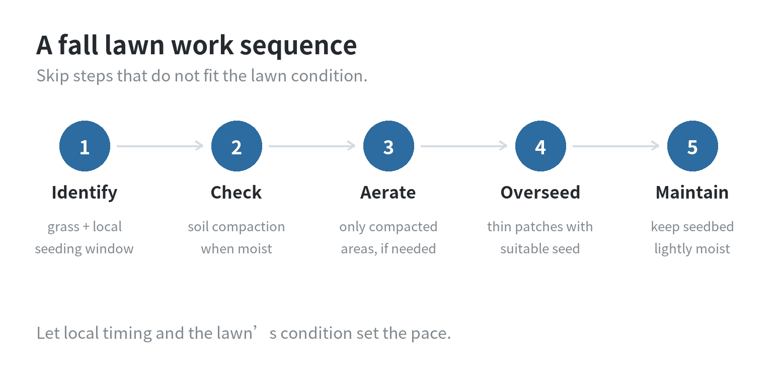 Fall lawn decision sequence: identify grass and local window, check for compaction, aerate moist soil if needed, seed for thin areas, then keep the surface lightly moist.